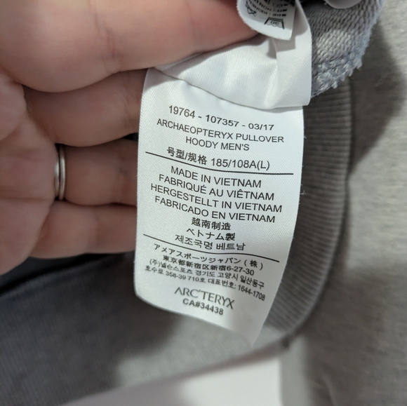 Arc’teryx Archaeopteryx Pullover Hoodie - Picture 6 of 8